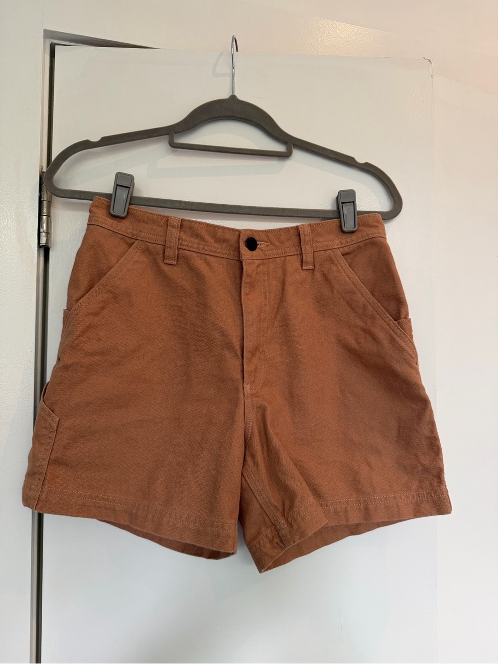 Patagonia Rust Brown Cargo Style Shorts